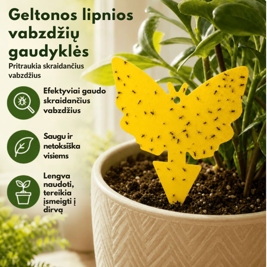 Lipnios vabzdžių bei kambarinių augalų kenkėjų gaudyklės