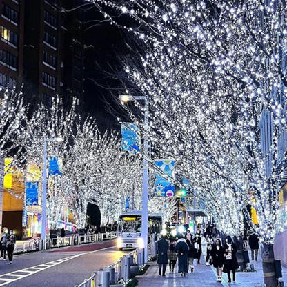 Universali vielinė LED girlianda